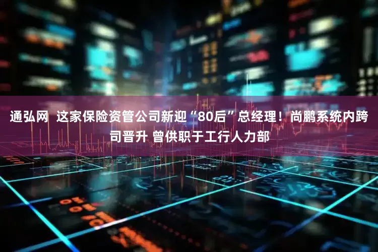 通弘网  这家保险资管公司新迎“80后”总经理！尚鹏系统内跨司晋升 曾供职于工行人力部