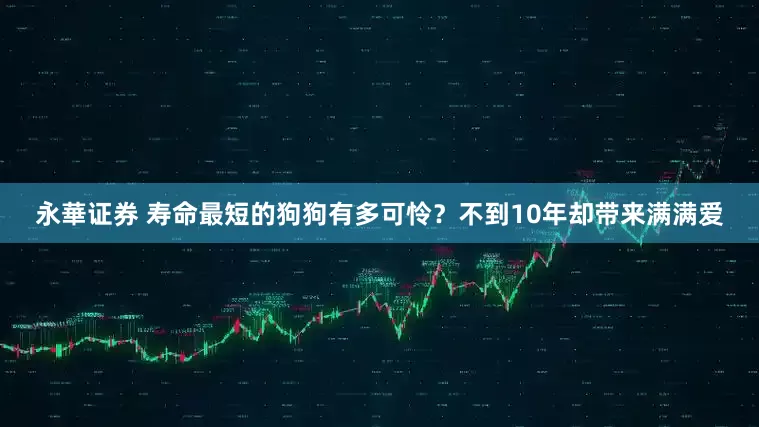永華证券 寿命最短的狗狗有多可怜？不到10年却带来满满爱