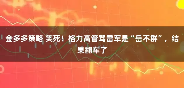 金多多策略 笑死！格力高管骂雷军是“岳不群”，结果翻车了