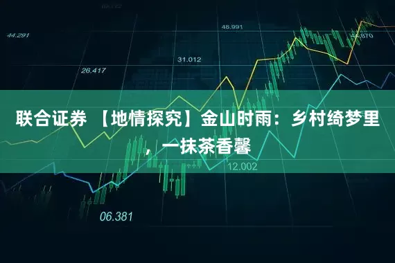 联合证券 【地情探究】金山时雨：乡村绮梦里，一抹茶香馨