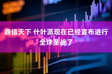 鼎信天下 什叶派现在已经宣布进行全球圣战了
